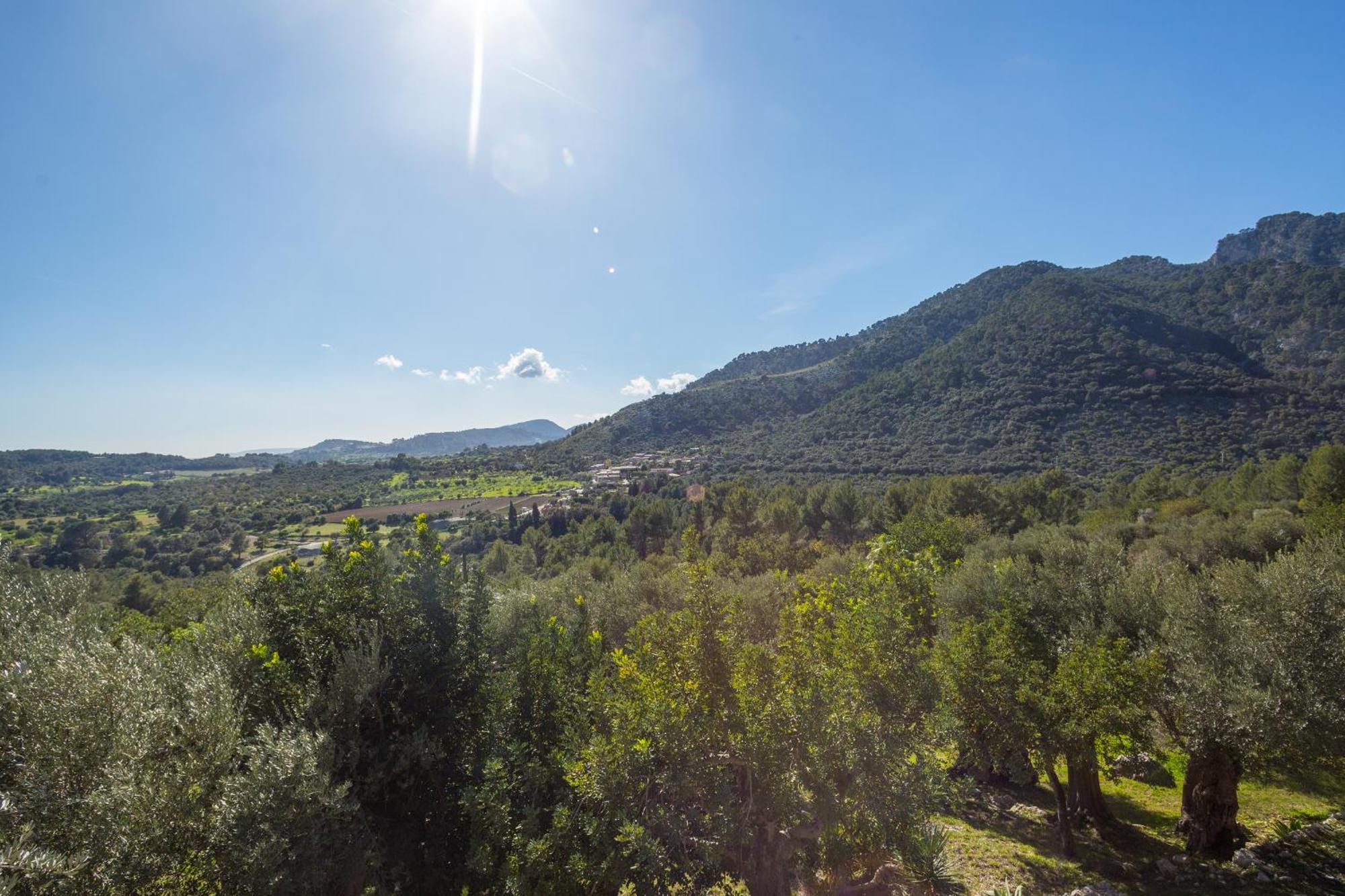 ביניבונה Finca Es Castell מראה חיצוני תמונה