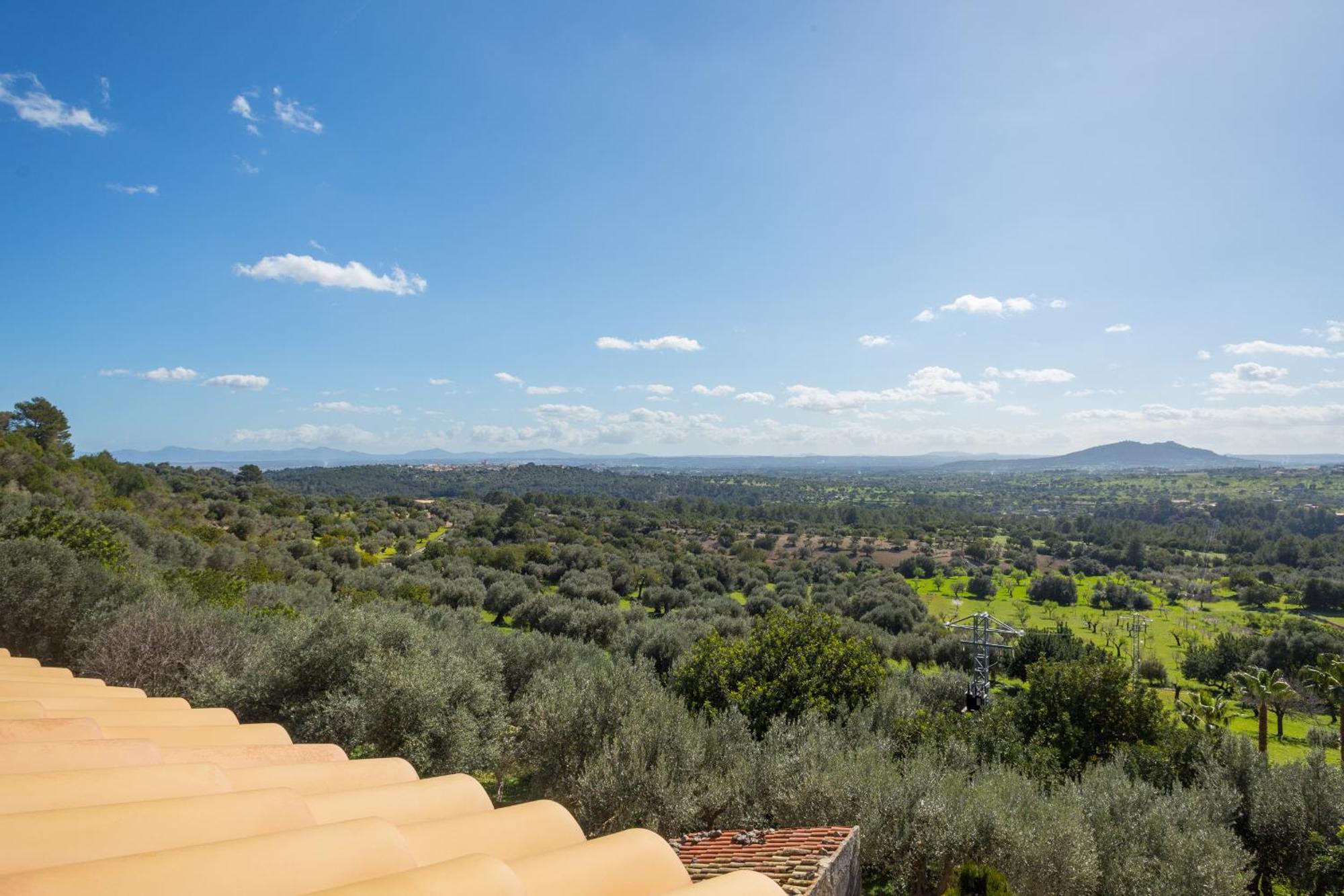ביניבונה Finca Es Castell מראה חיצוני תמונה